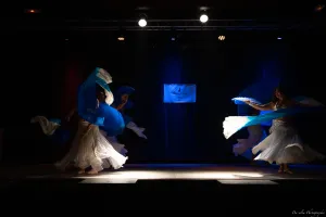 Cours intermédiaire danse orientale Vitrolles ,les Milles, Rognac, Aix-en-Provence, Plan de campagne, Bouches du Rhône, Var, Paca, Cote d'Azur